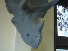 恐竜壁掛けオブジェ