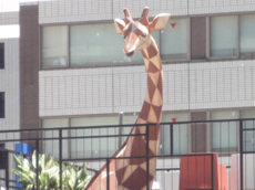 多面体のキリン